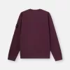 Sweatshirt mit Rundhalsausschnitt und normaler Passform